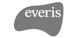 facturae Everis