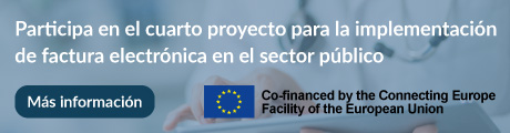  proyecto E-FACTURA U.E. B2G cofinanciado por la Unión Europea